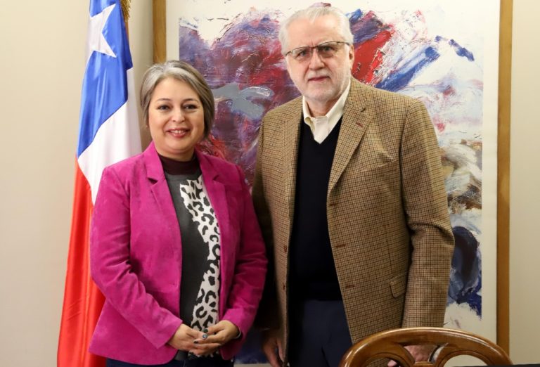 MINISTRA DEL TRABAJO Y PRESIDENTE DEL DIRECTORIO DE CODELCO SE REÚNEN PARA ANALIZAR ACCIDENTES LABORALES 6 I4