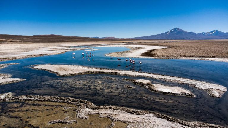 Codelco Salvador informa a la comunidad sobre los avances en la ejecución del avenimiento alcanzado con el CDE en el Salar de Pedernales 3 PEDERNALES