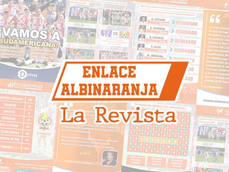 Enlace Albinaranja - La Revista - N° 30 3 foto portada Revista EAL30
