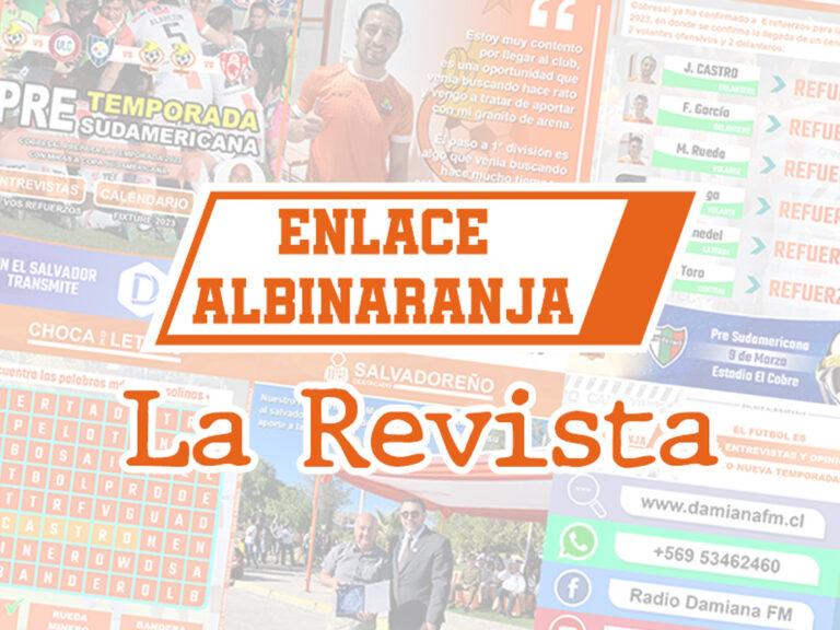 Enlace Albinaranja - La Revista - Edición N° 32. 7 revista imagen