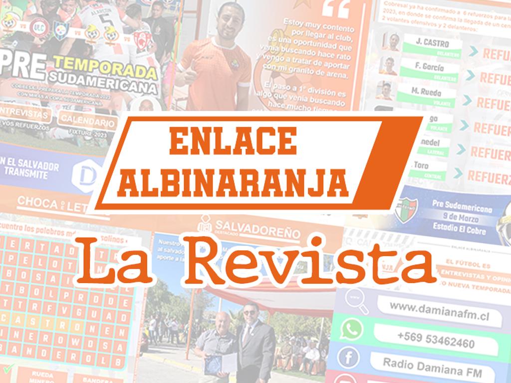 Enlace Albinaranja - La Revista - Edición N° 32. 1 revista imagen