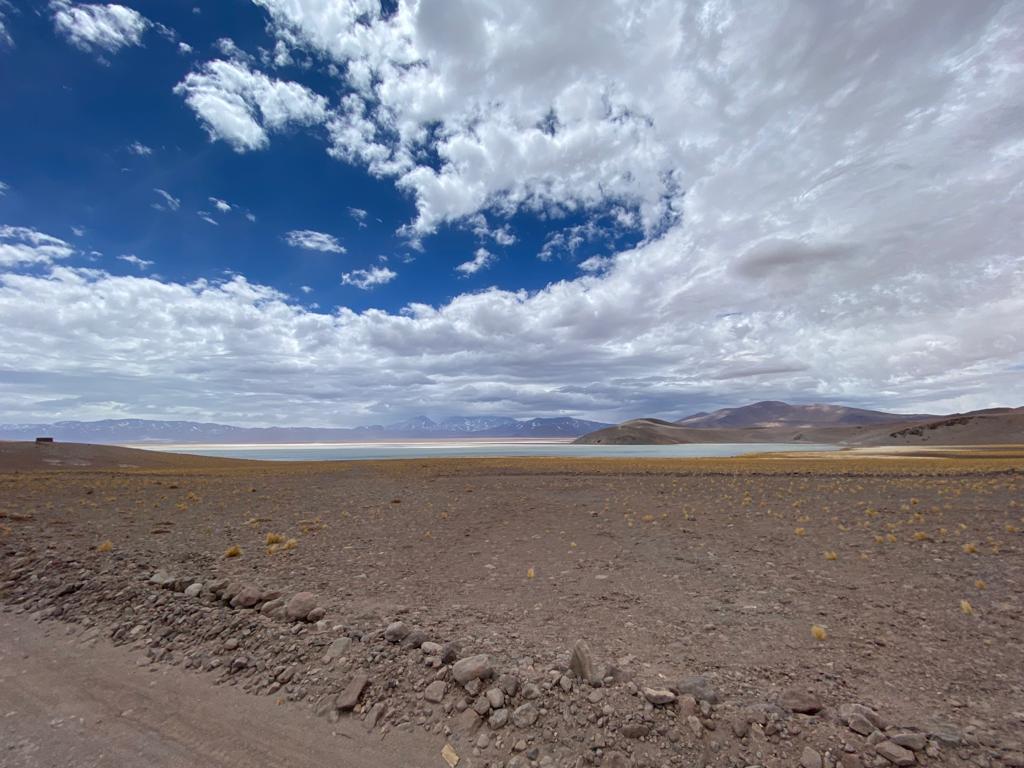 Ley para la Naturaleza da paso clave: Proyecto que crea el Servicio de Biodiversidad y Áreas Protegidas pasa a la sala de la Cámara 1 42468043 d764 4bfe b9b8 7fc8d98b073c