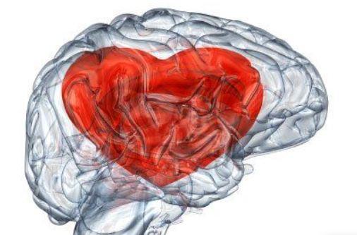 La ciencia lo confirma: el amor no nace en el corazón sino en el cerebro 5 Cerebro amor