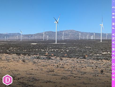 Colbún acuerda compra de dos parques eólicos y refuerza crecimiento renovable en el Norte del país 6 Eolico WEB