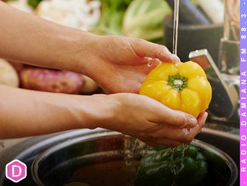 SEREMI de Salud Atacama llama al autocuidado a la hora del consumo de alimentos 1 alimentosweb