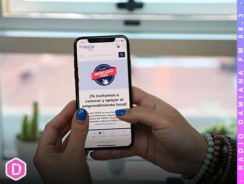 FOSIS abre inscripciones para que emprendimientos se sumen a plataforma de comercio virtual 1 FOSS WEB