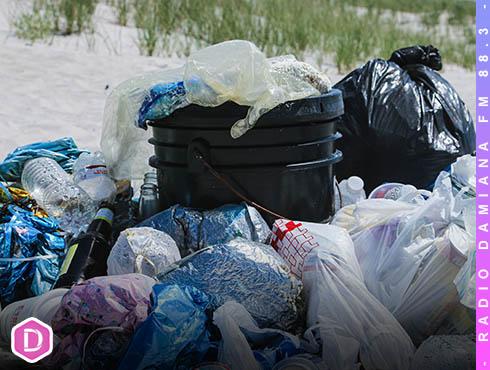 Día libre de las bolsas de plástico: ¿Cuánto tardan en descomponerse? ¿Cómo podemos contribuir? 1 basura web