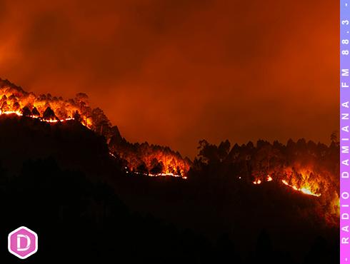 Recomendaciones sobre qué hacer y cómo prevenir los incendios forestales 8 INCENDIOS WEB