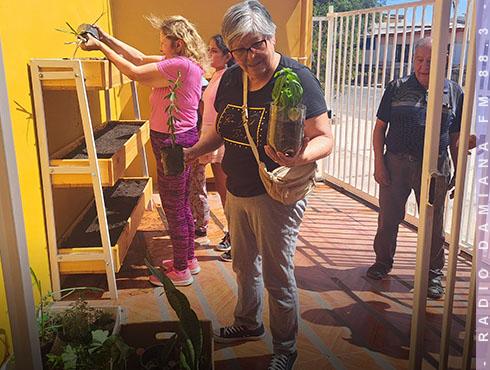 HIERBAS DISCAPACIDAD