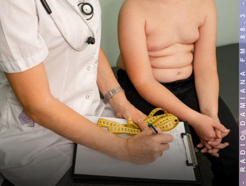 ¡Cuidado con lo que mandas de colación! Más del 20% de niños chilenos tienen obesidad 5 FOTO OBESIDAD PAGINA WEB