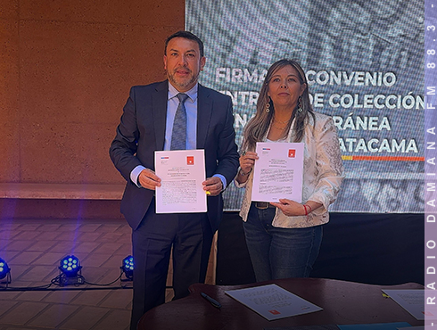 Codelco Salvador hace entrega de su colección mina subterránea al Museo Regional de Atacama 1 MUSEO PAGINA