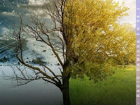 ¿Cuál horario es mejor para la salud del ser humano: invierno o verano? Experto responde 1 invierno o verano web