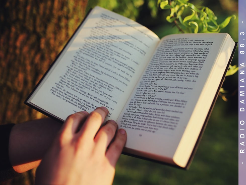 Día del Libro: 4 consejos para fomentar el hábito de lectura en los niños 1 FOTOSPAGINAWEB dia de libro