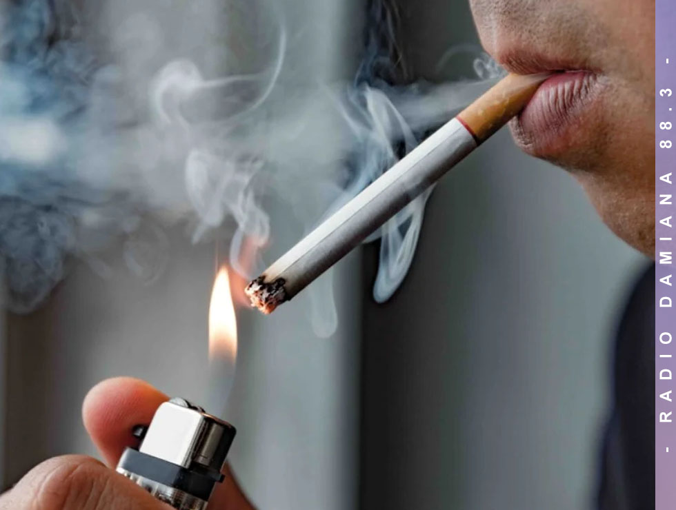 10 muertes diarias por cáncer de pulmón en Chile: el costo humano del tabaco 1 TABACO