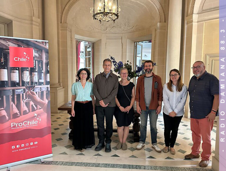 ProChile realiza cata de vinos en París de viñas chilenas lideradas por mujeres 5 PROCHILE