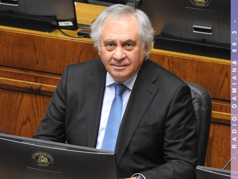 Senador Prohens emplaza al Gobierno a fortalecer sistema aduanero para proteger la seguridad nacional 3 SENADRPROHENS