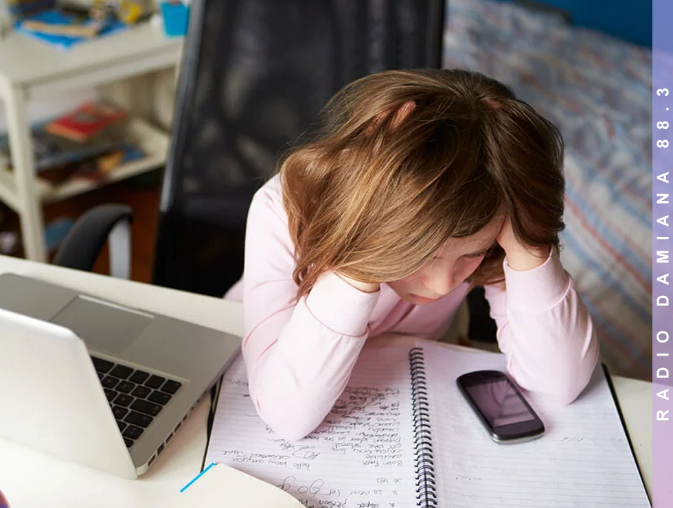 Redes sociales y cultura del like: Cómo los desafíos virales ponen en riesgo a niños y jóvenes 1 redes sociales web