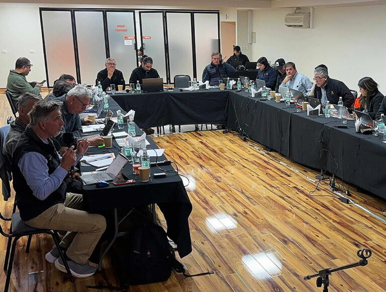 Expertos internacionales revisaron depósitos de relaves de Codelco Salvador bajo estándar global 2 CODELCO VISITA