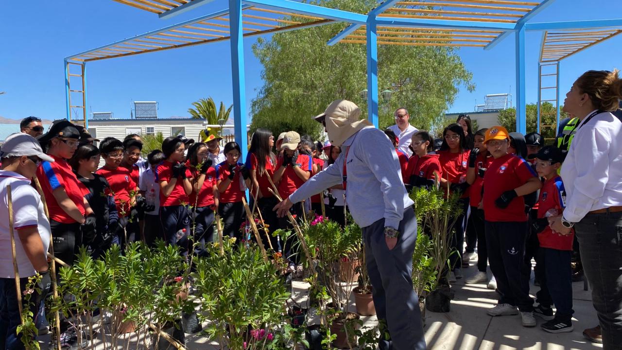 Estudiantes participaron en jornada de plantación de flora local en El Salvador 1 Foto 1 planta
