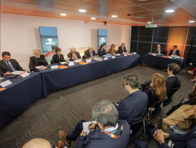 MINISTROJUNTAACCIONISTACODELCO