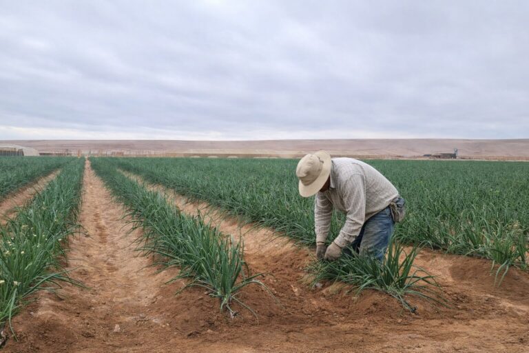 Seminario AgroDesierto Alta