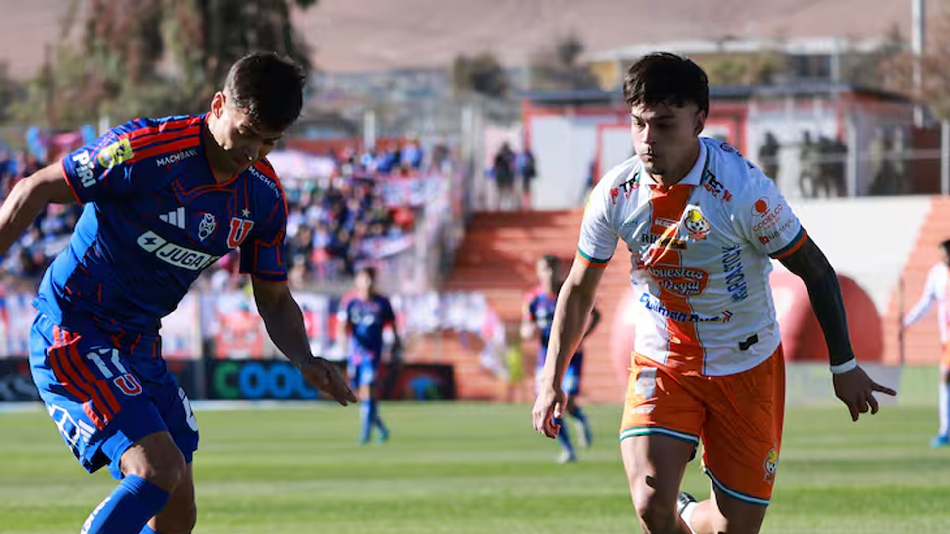 cobresal vs u de chile