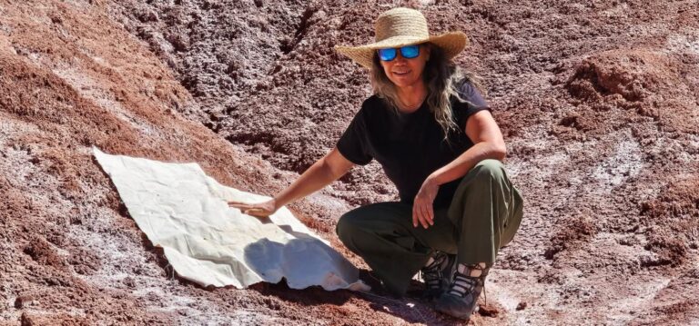 Artista atacameña llevará los colores y pigmentos naturales de Atacama a prestigiosa exposición internacional en Italia 1 Lorena Arancibia exposicion Italia 5